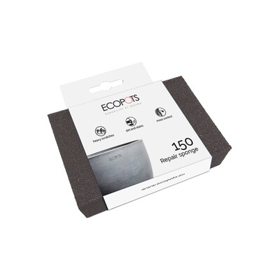 Ecopots Repair sponge