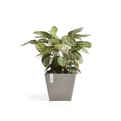 Ecopots Rotterdam 50 Taupe