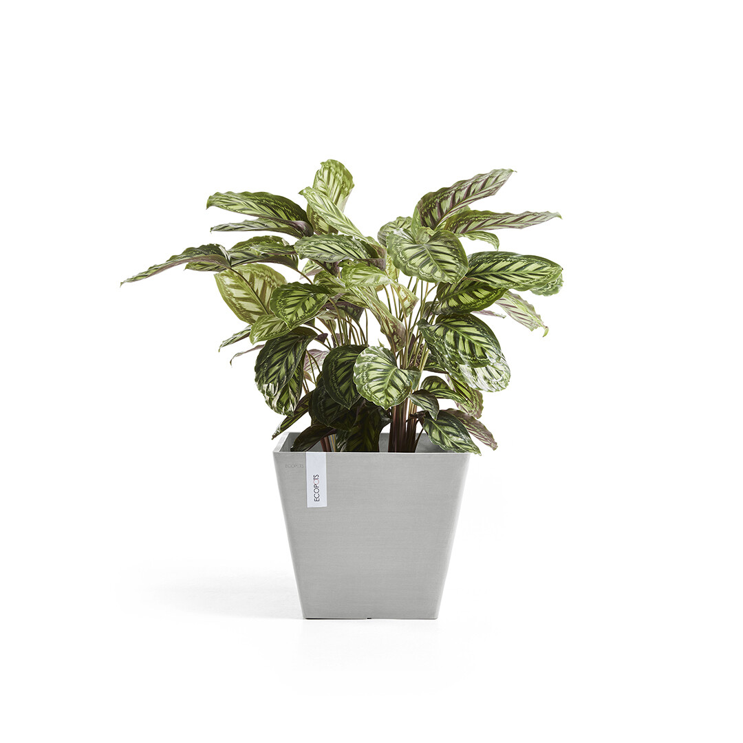 Ecopots Rotterdam 50 White Grey