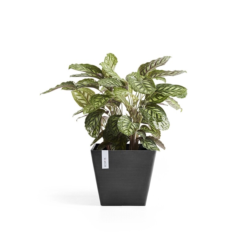 Ecopots Rotterdam 50 Dark Grey