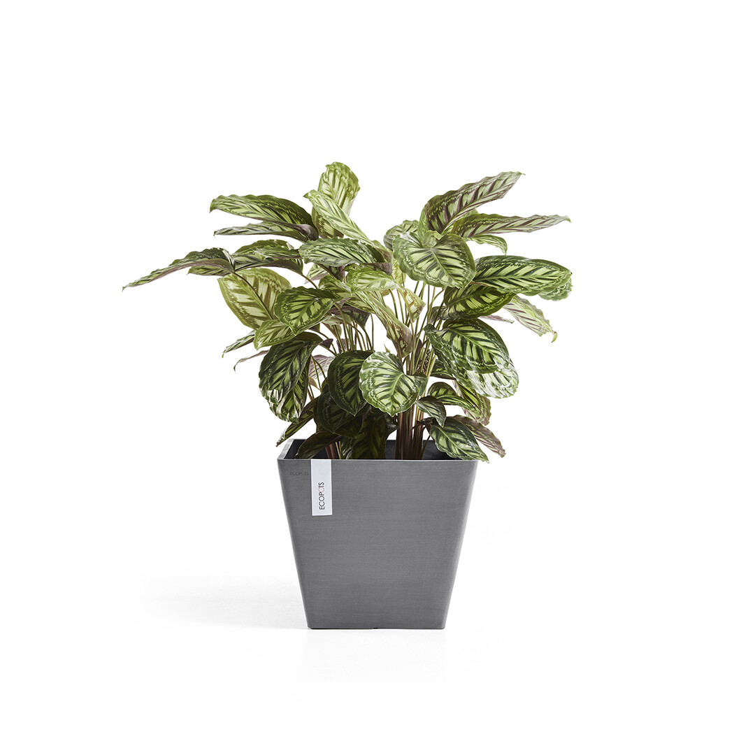 Ecopots Rotterdam 50 Grey