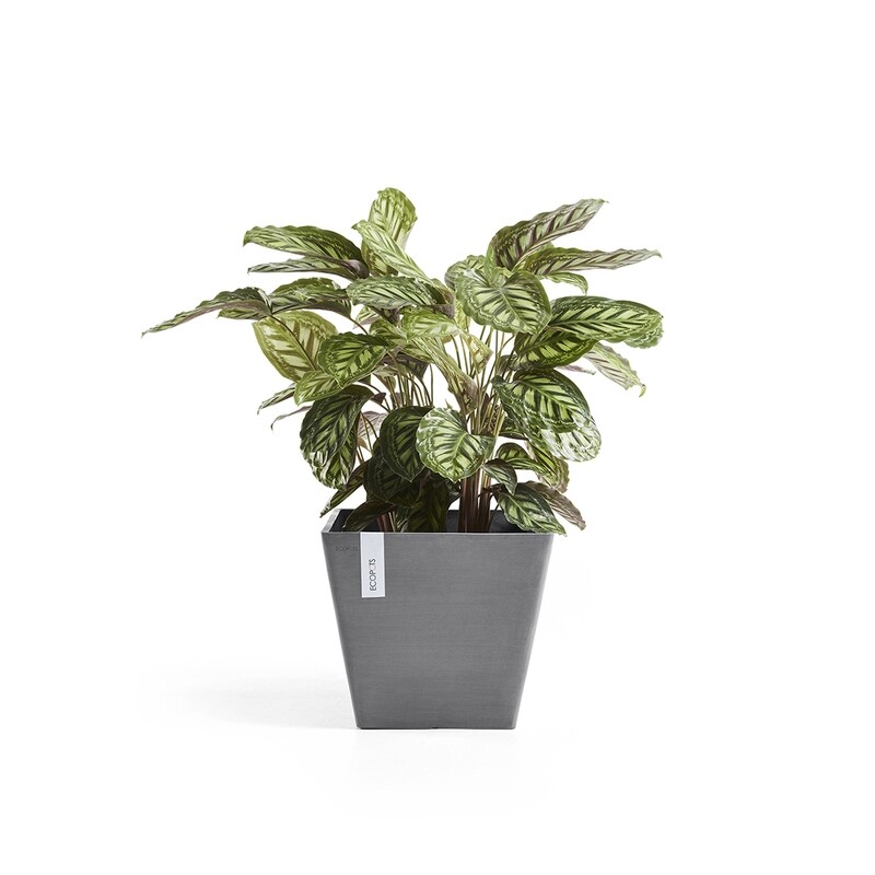 Ecopots Rotterdam 50 Grey