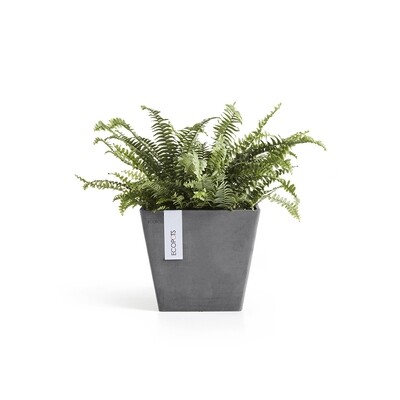 Small pots (Ø &lt;20cm)