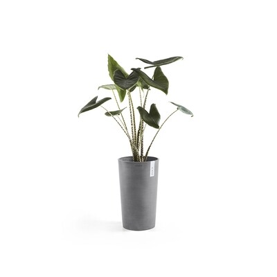Tall and large pots