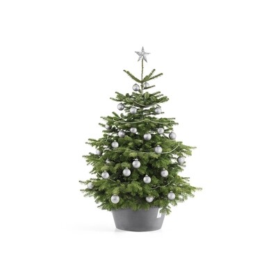 Christmas Tree Stand XL