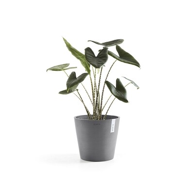Round pots
