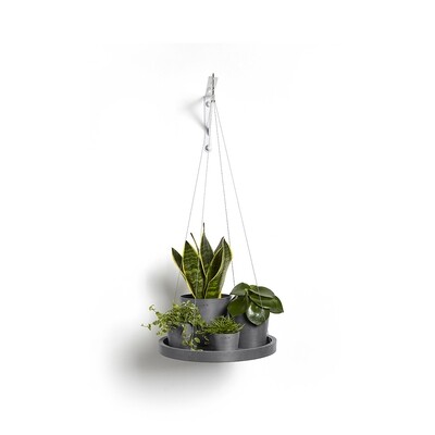 Hanging Saucer