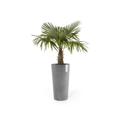 Tall and large pots