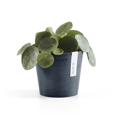 Ecopots Amsterdam Mini 13 Dark Blue Ecopots Amsterdam Mini 13 Dark Blue
