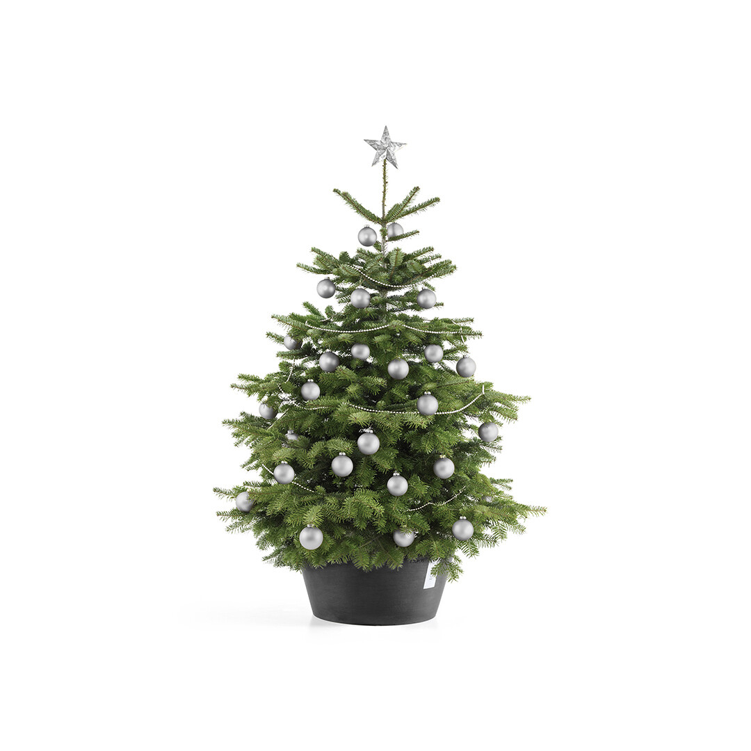 Ecopots Christmas Tree Stand XL 50 Dark Grey