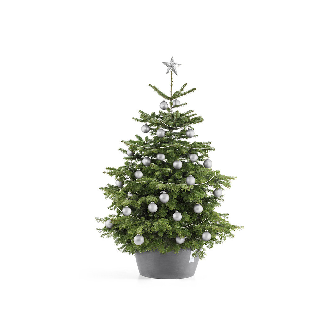 Ecopots Christmas Tree Stand XL 50 Grey Ecopots Christmas Tree Stand XL 50 Grey