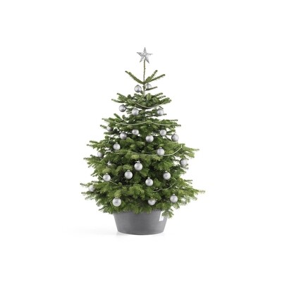 Ecopots Christmas Tree Stand XL 50 Grey