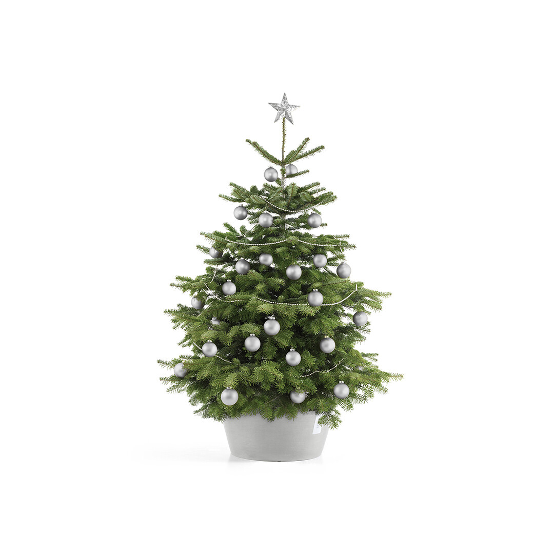 Ecopots Christmas Tree Stand XL 50 White Grey
