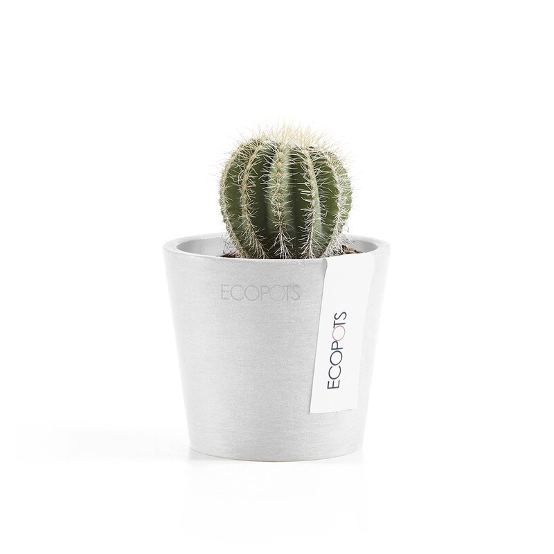 Ecopots Amsterdam Mini 8 Pure White