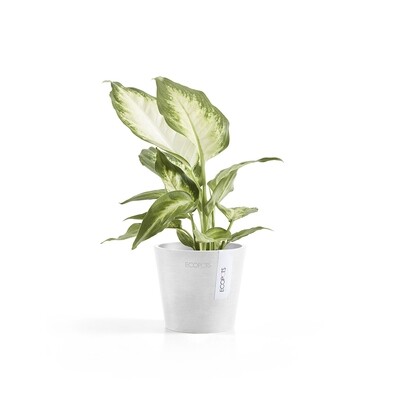 Ecopots Amsterdam Mini 10,5 Pure White