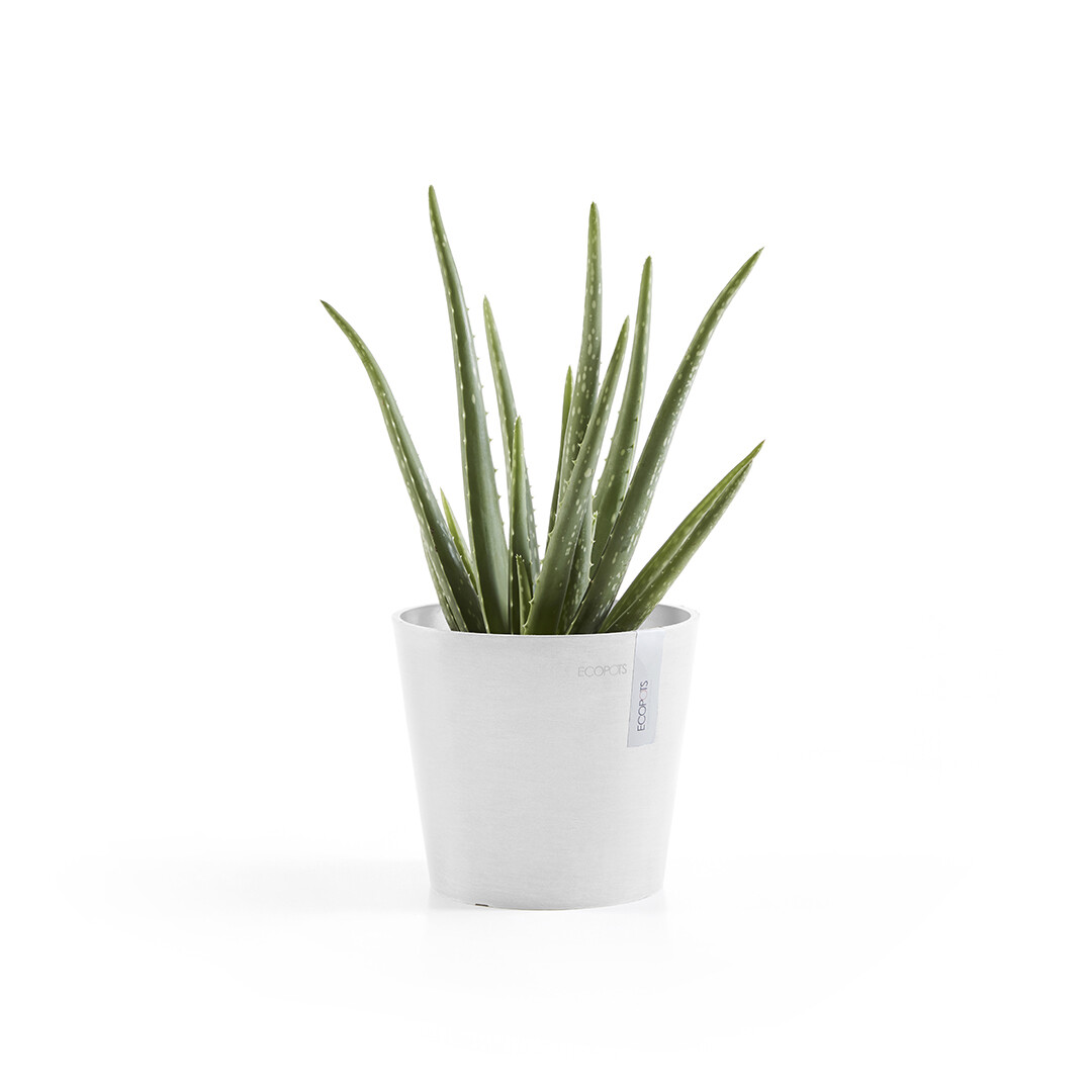 Ecopots Amsterdam Mini 17 Pure White