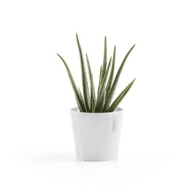 Ecopots Amsterdam Mini 17 Pure White