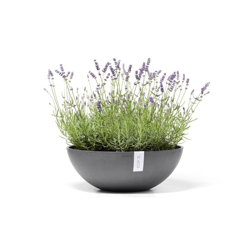 Ecopots Vienna 50 Grey