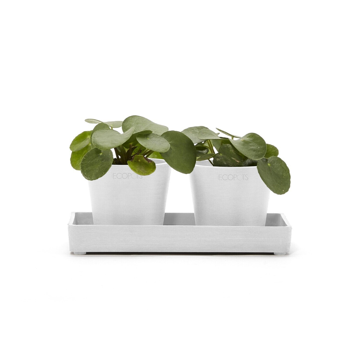 Ecopots Display Platter Amsterdam Mini 20 Pure White