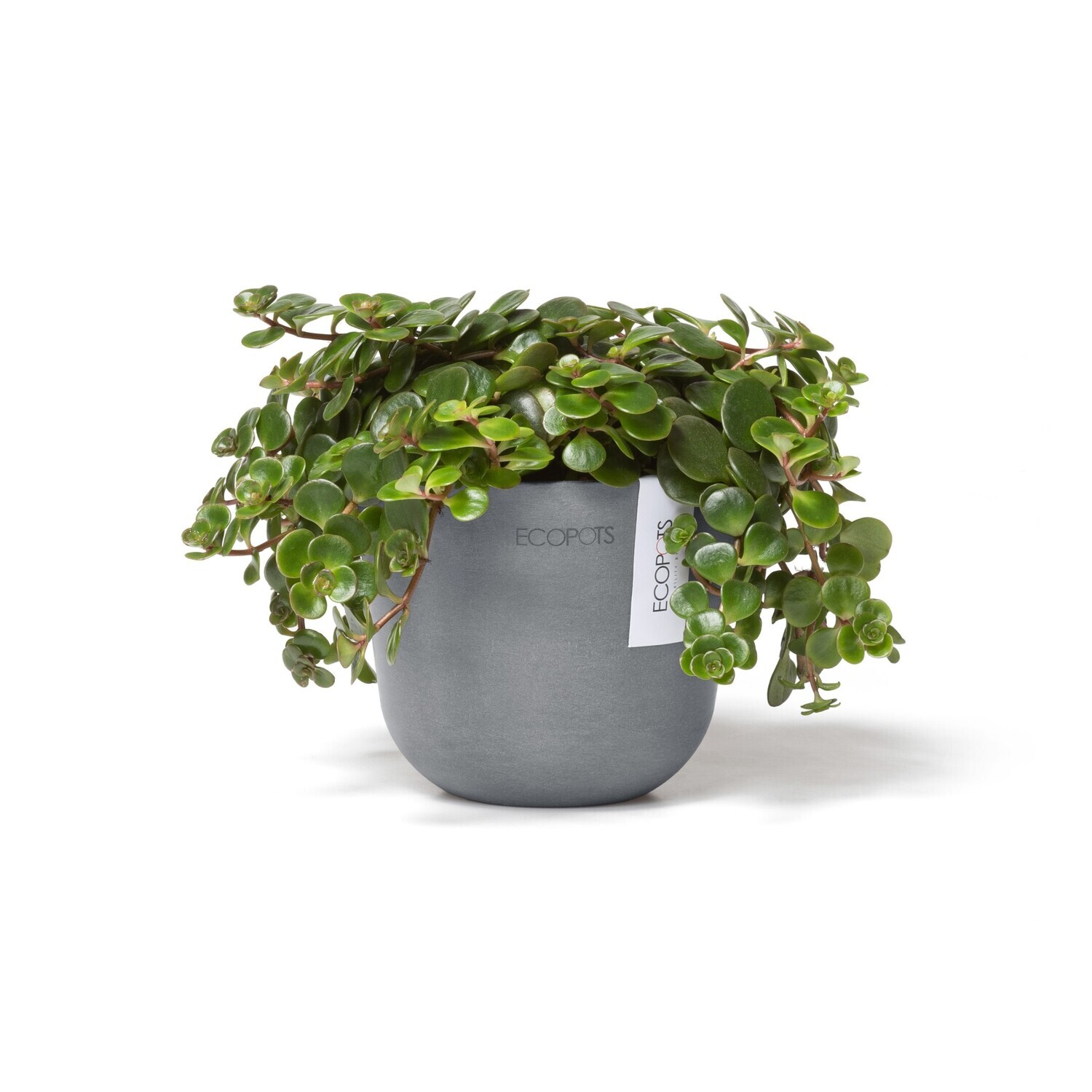 Ecopots Oslo Mini 11,5 Blue Grey