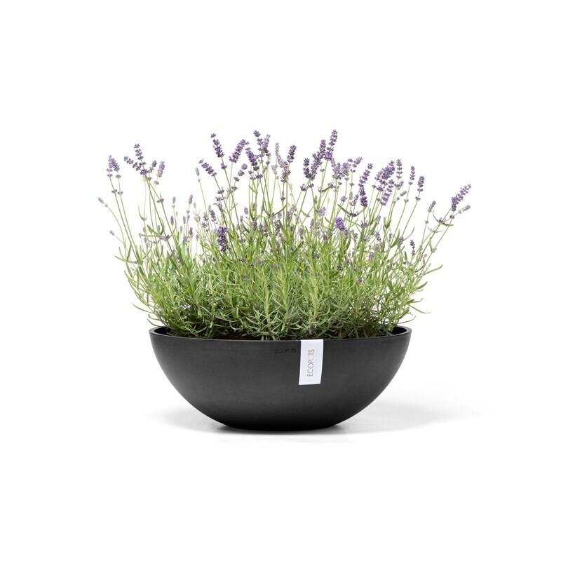 Ecopots Vienna 50 Dark Grey