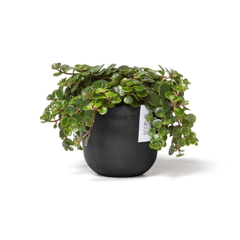 Ecopots Oslo Mini 11,5 Dark Grey