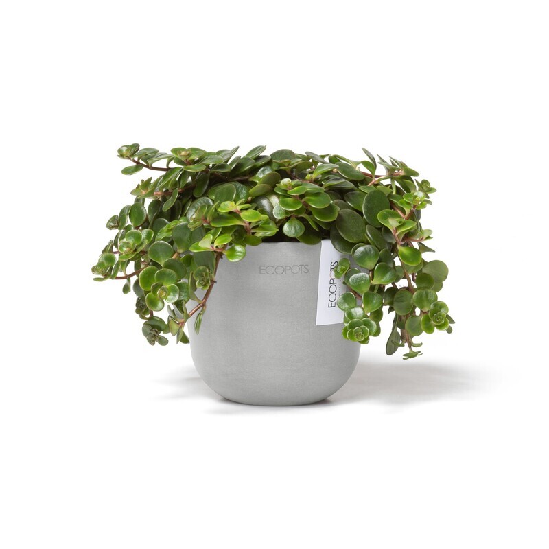 Ecopots Oslo Mini 11,5 White Grey