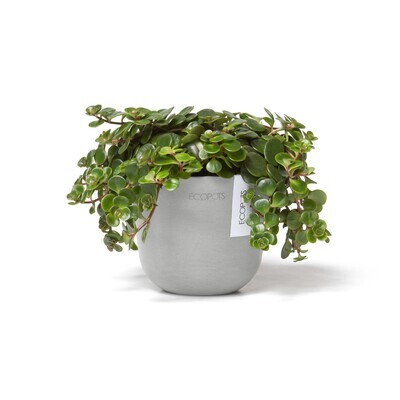 Ecopots Oslo Mini 11,5 White Grey