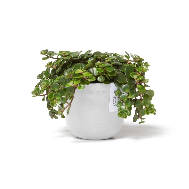 Ecopots Oslo Mini 11,5 Pure White