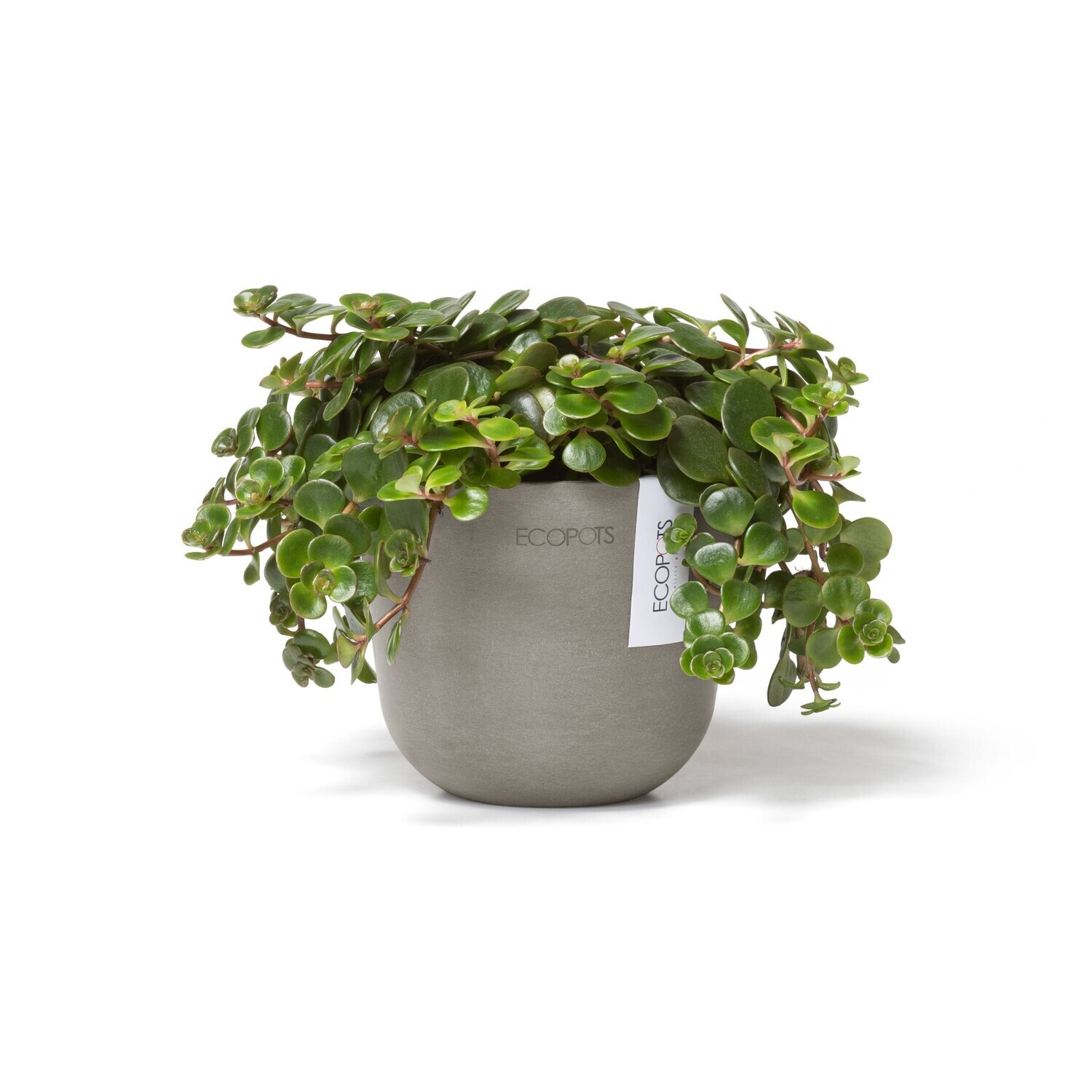 Ecopots Oslo Mini 11,5 Taupe