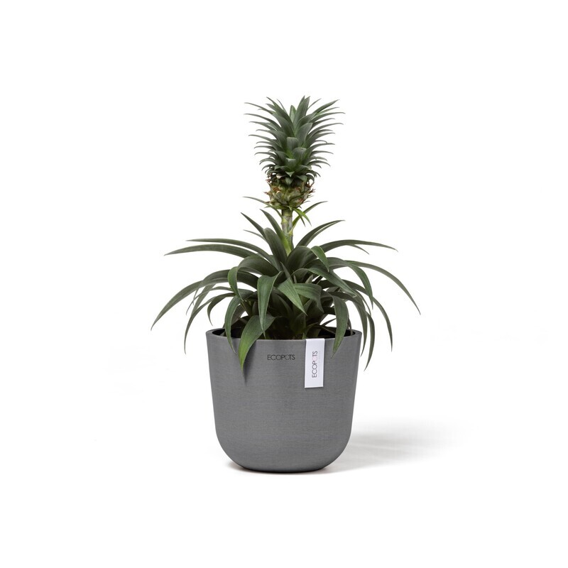 Ecopots Oslo Mini 16 Grey