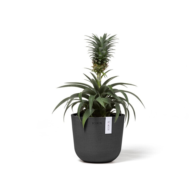 Ecopots Oslo Mini 16 Dark Grey