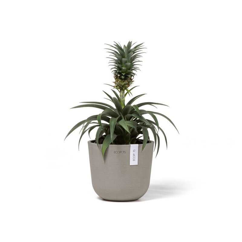 Ecopots Oslo Mini 16 Taupe