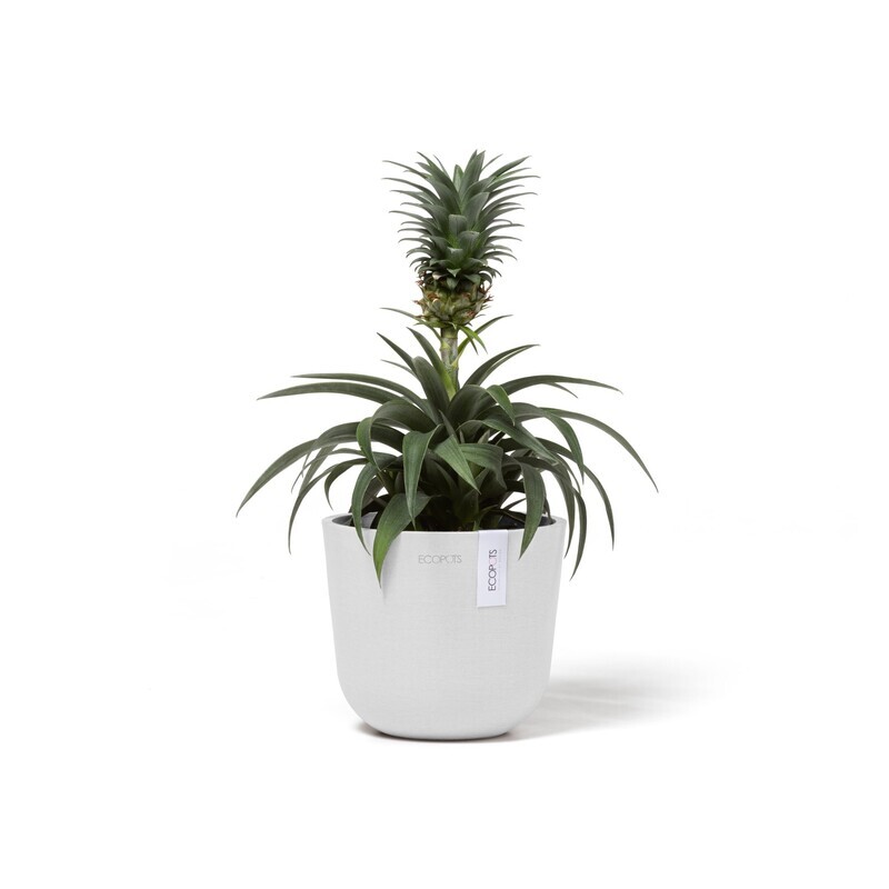 Ecopots Oslo Mini 16 Pure White