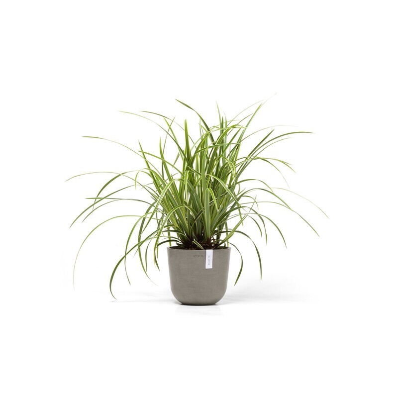 Ecopots Oslo Mini 19 Taupe