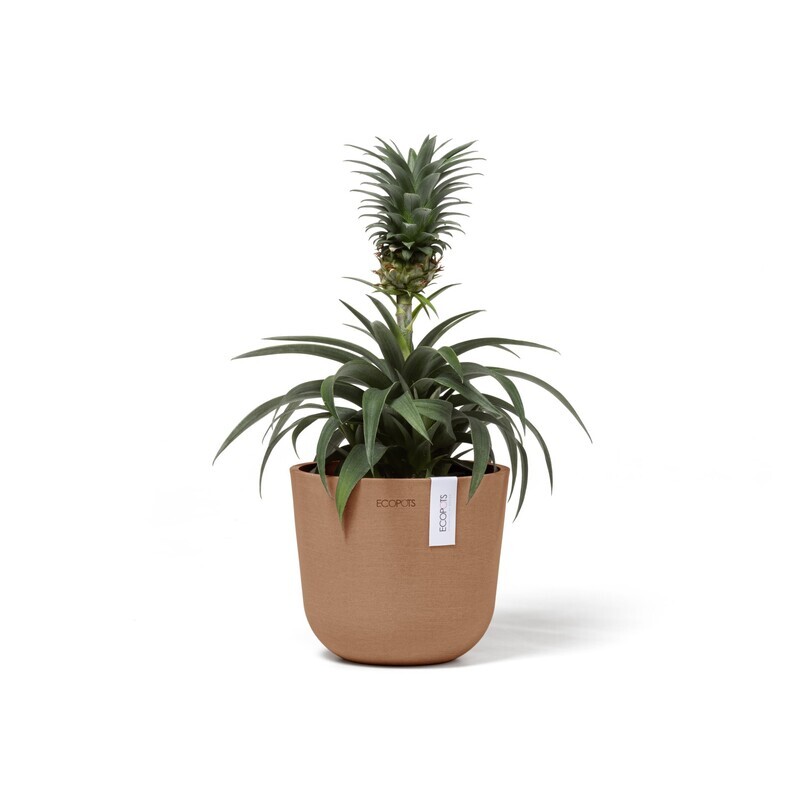 Ecopots Oslo Mini 16 Terracotta Ecopots Oslo Mini 16 Terracotta
