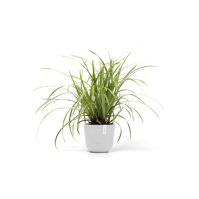 Ecopots Oslo Mini 19 Pure White