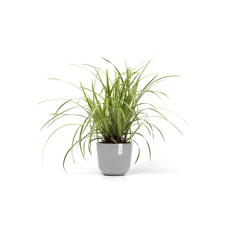 Ecopots Oslo Mini 19 White Grey