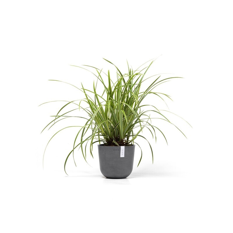 Ecopots Oslo Mini 19 Grey