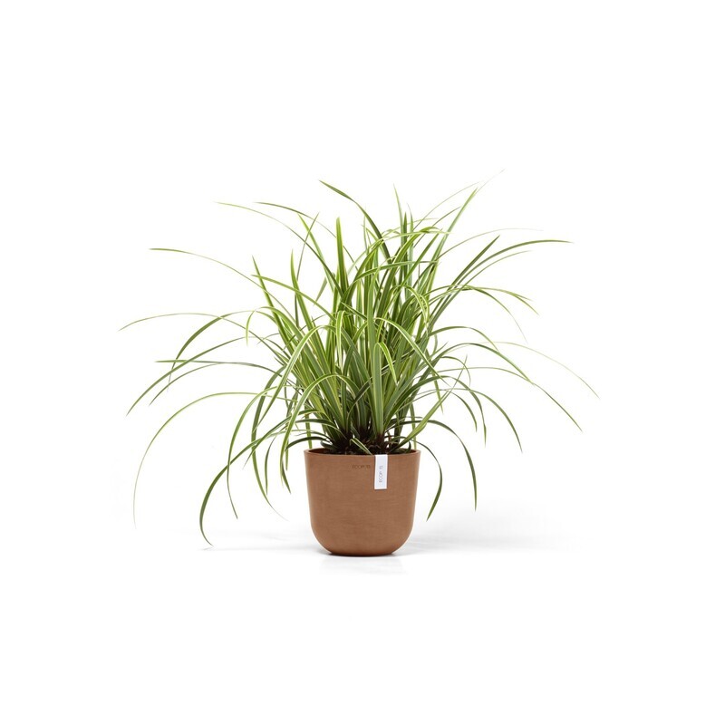 Ecopots Oslo Mini 19 Terracotta Ecopots Oslo Mini 19 Terracotta