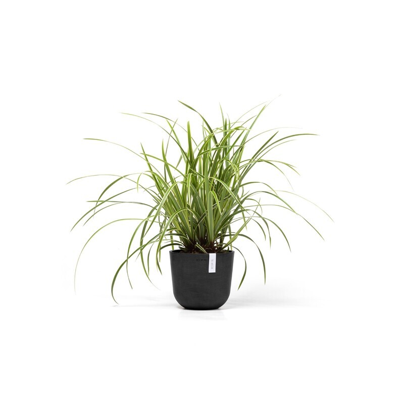 Ecopots Oslo Mini 19 Dark Grey