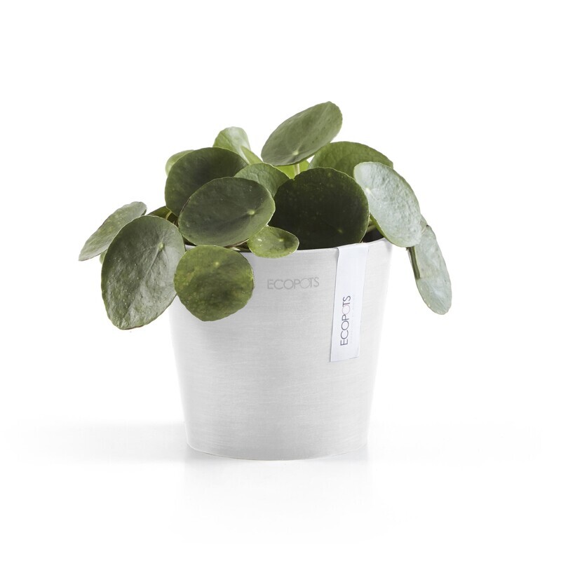 Ecopots Amsterdam Mini 13 Pure White