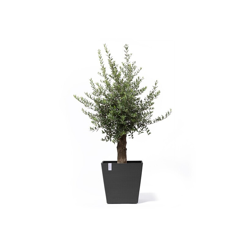 Ecopots Rotterdam Wheels 50 Dark Grey + Water Reservoir
