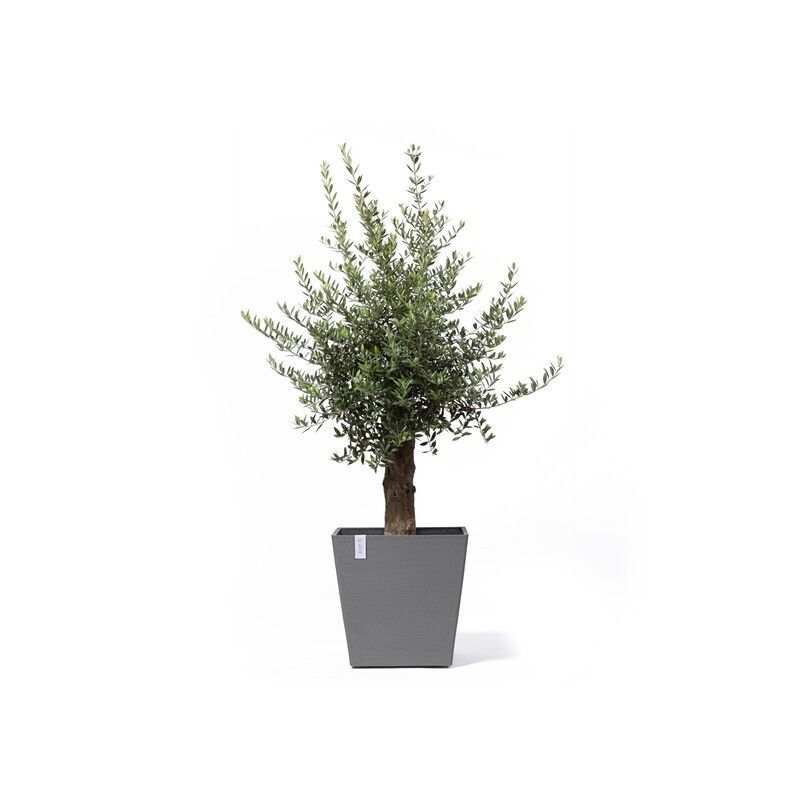 Ecopots Rotterdam Wheels 50 Grey + Water Reservoir