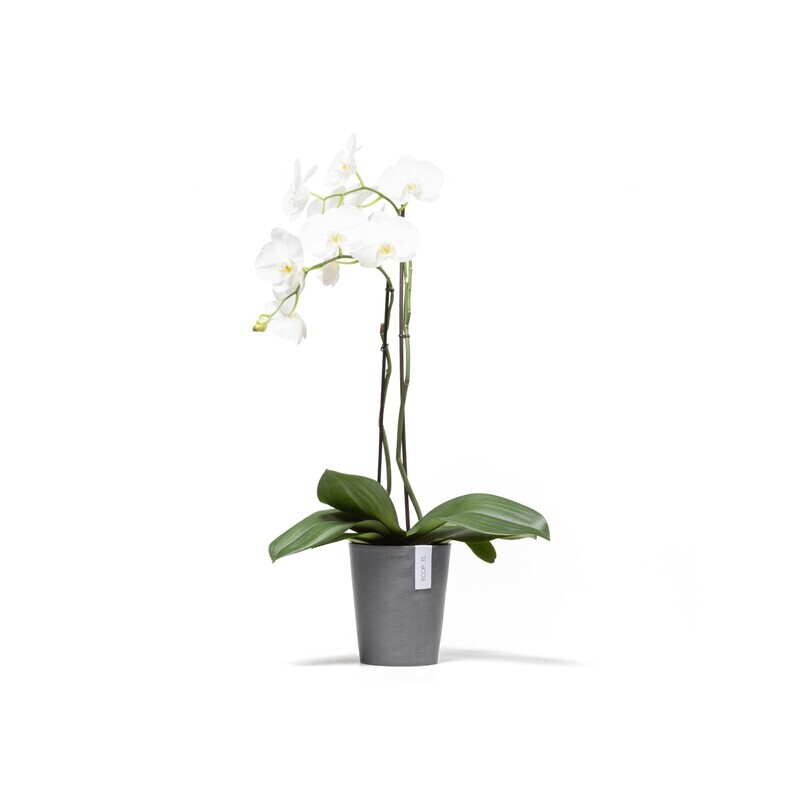 Ecopots Morinda 17 Grey