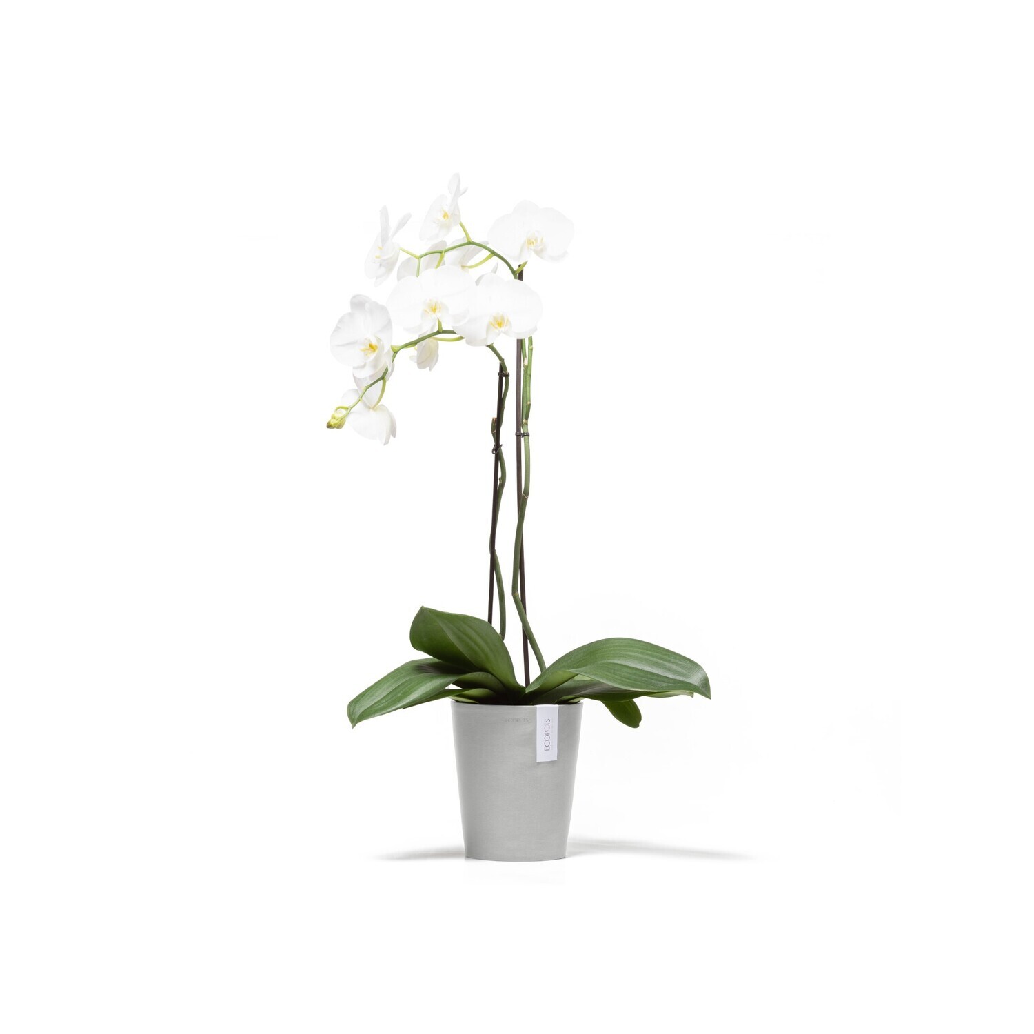 Ecopots Morinda 17 White Grey Ecopots Morinda 17 White Grey
