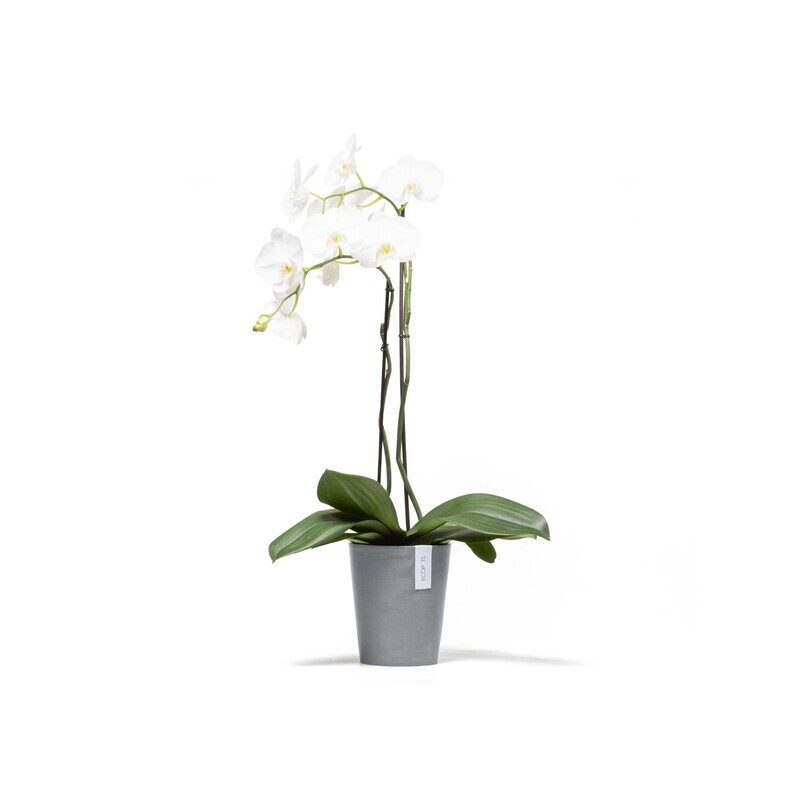 Ecopots Morinda 17 Blue Grey
