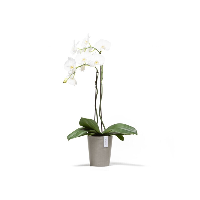 Ecopots Morinda 17 Taupe