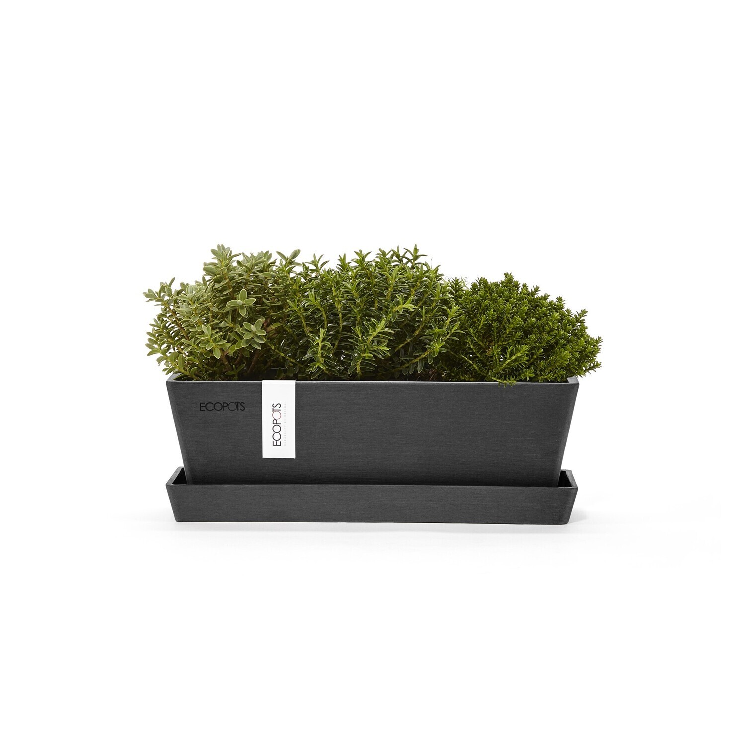 Ecopots Bruges Mini 25 + Saucer Dark Grey