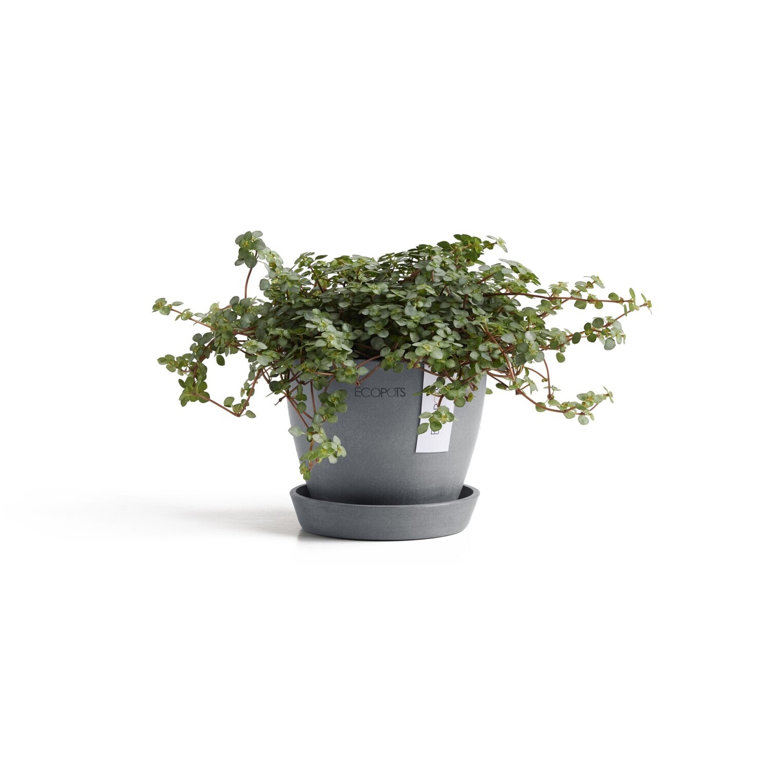 Ecopots Antwerp Mini 11 + Saucer Blue Grey